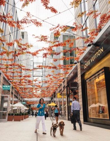 CityCenterDC