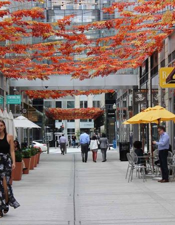 CityCenterDC