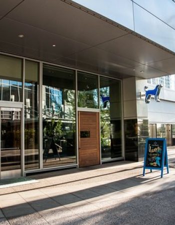 Blue Hound Kitchen & Cocktails