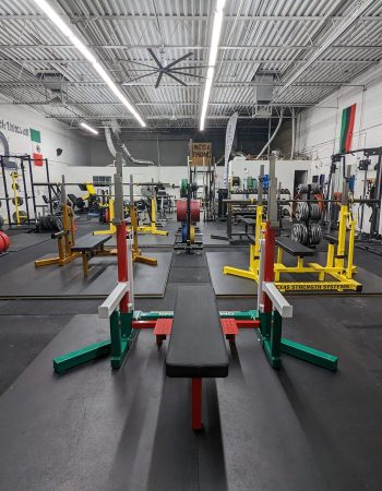 Omega Strong Gym