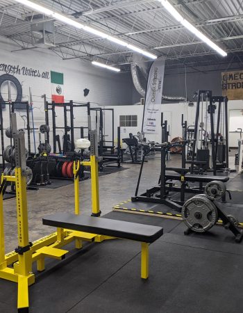Omega Strong Gym