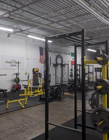 Omega Strong Gym