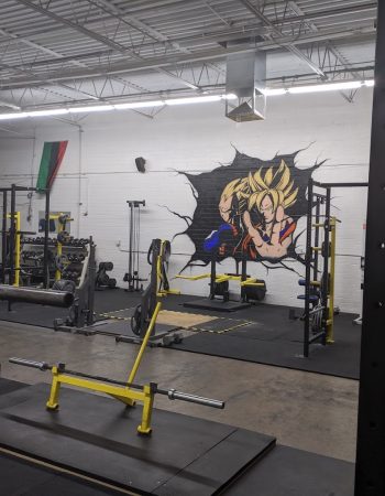 Omega Strong Gym