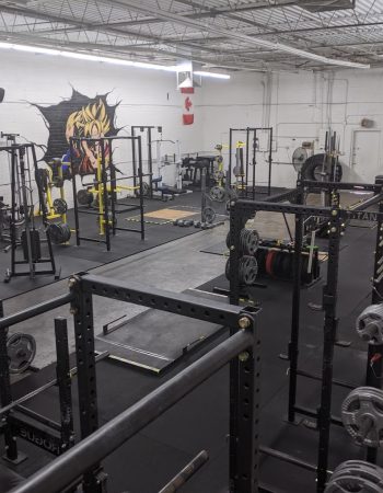 Omega Strong Gym