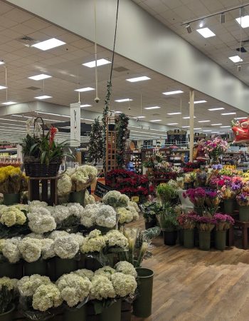 River Oaks Shopping Center