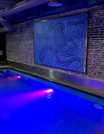 Sauna Octopus