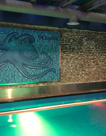Sauna Octopus