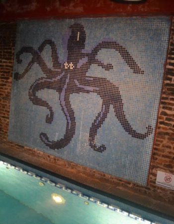Sauna Octopus