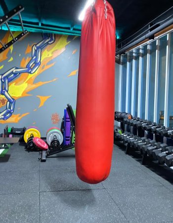 Elite Gym and Fitness Pattaya