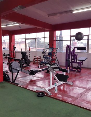 Fitness Space Las Torrrs