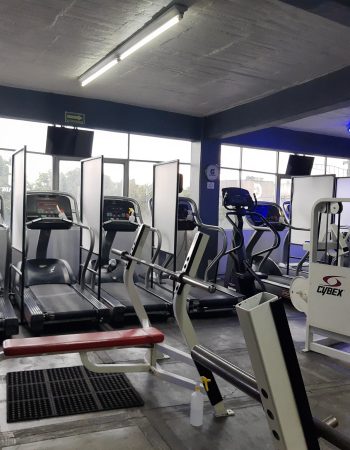 Fitness Space Las Torrrs