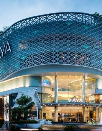 MAXX Professional Fitness