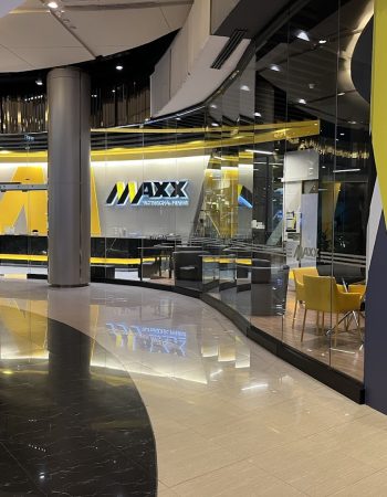 MAXX Professional Fitness