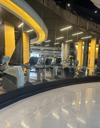 MAXX Professional Fitness