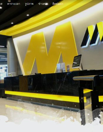 MAXX Professional Fitness