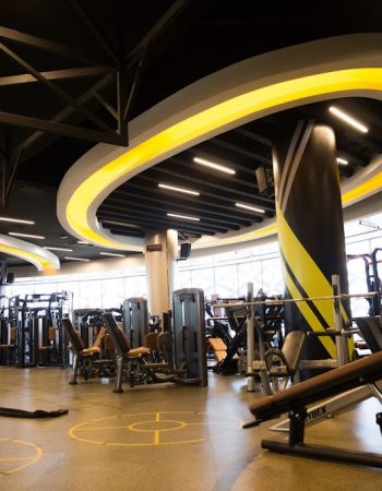 MAXX Professional Fitness