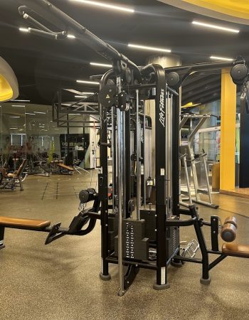 MAXX Professional Fitness