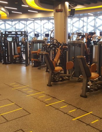 MAXX Professional Fitness