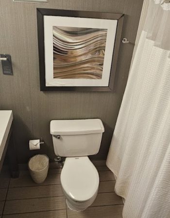 Courtyard Philadelphia City Avenue